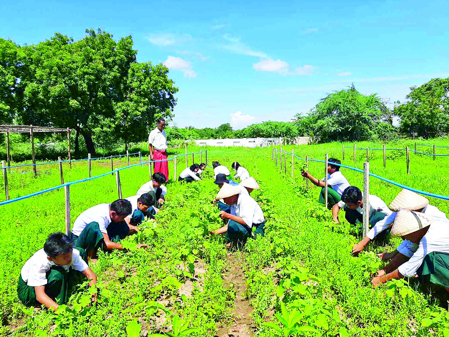 ဆောင်းပါး