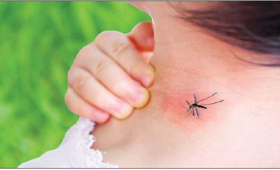 ဆောင်းပါး