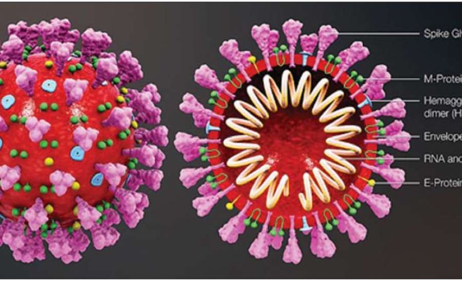 ကိုဗစ်-၁၉ အကြောင်း သိကောင်းစရာများ