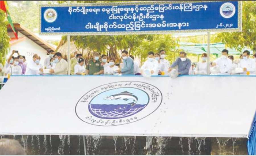 မွေးမြူရေး