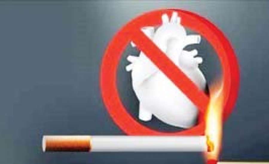 ဆေးလိပ်၊ ဆေးရွက်ကြီး နီကိုတင်းစွဲလမ်းမှုပြဿနာ