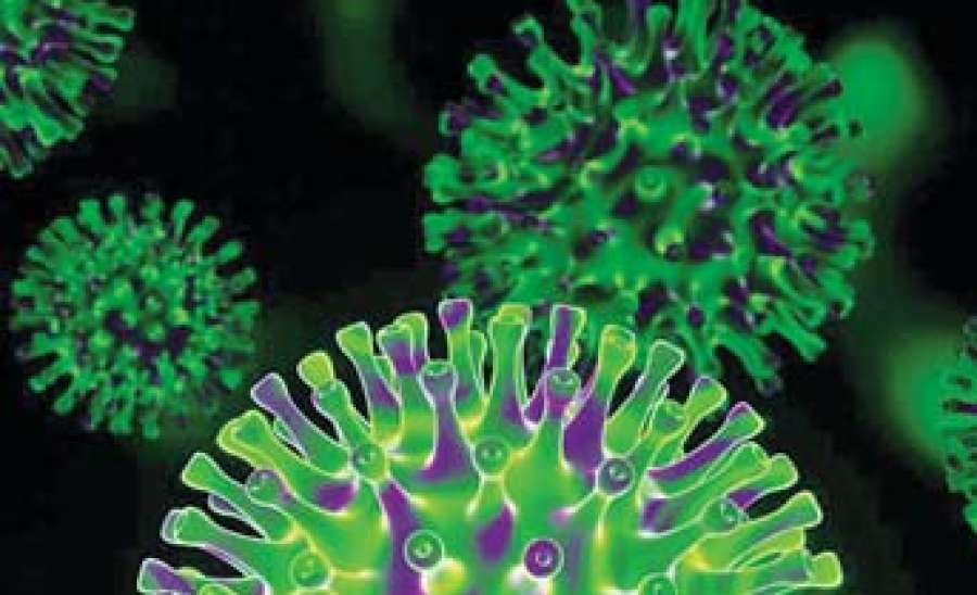 မျိုးဗီဇပြောင်း အိုမီခရွန်ကြောင့် ရောဂါဖြစ်ပွားမှု များပြားမလာစေရေး ကြိုတင်ပြင်ဆင် ထားရှိမှုများ