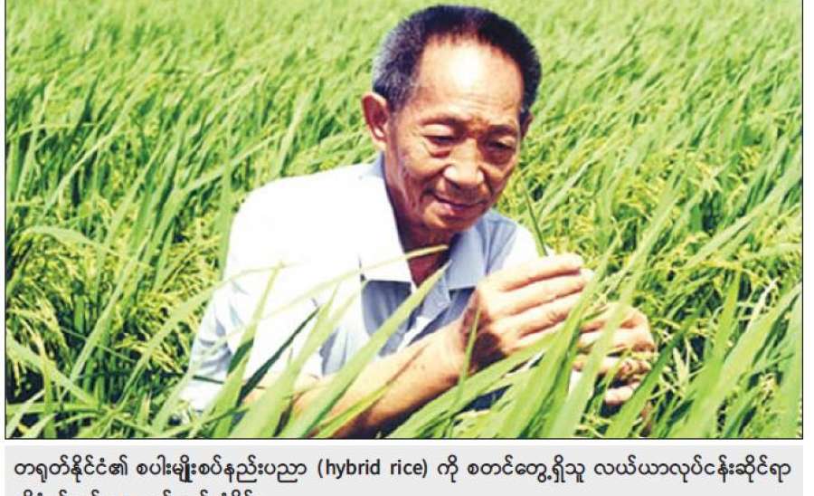 ပညာခေတ်မှာ ပညာသည်သာ ရတနာ