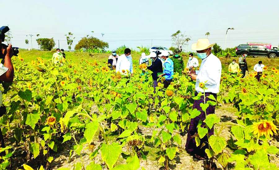 ဆောင်းပါး