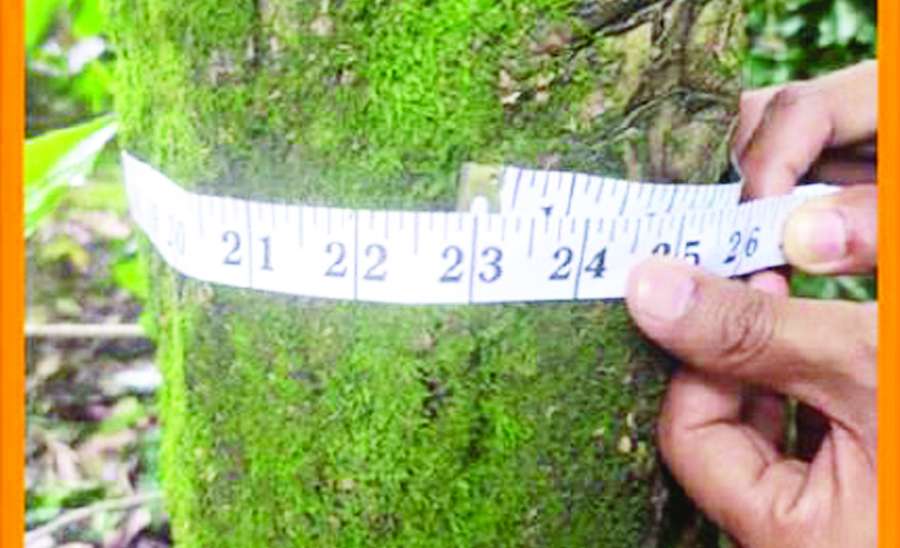 ဆောင်းပါး