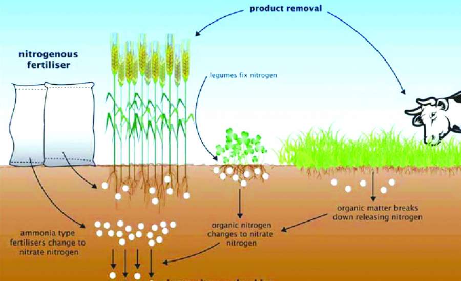 ဆောင်းပါး
