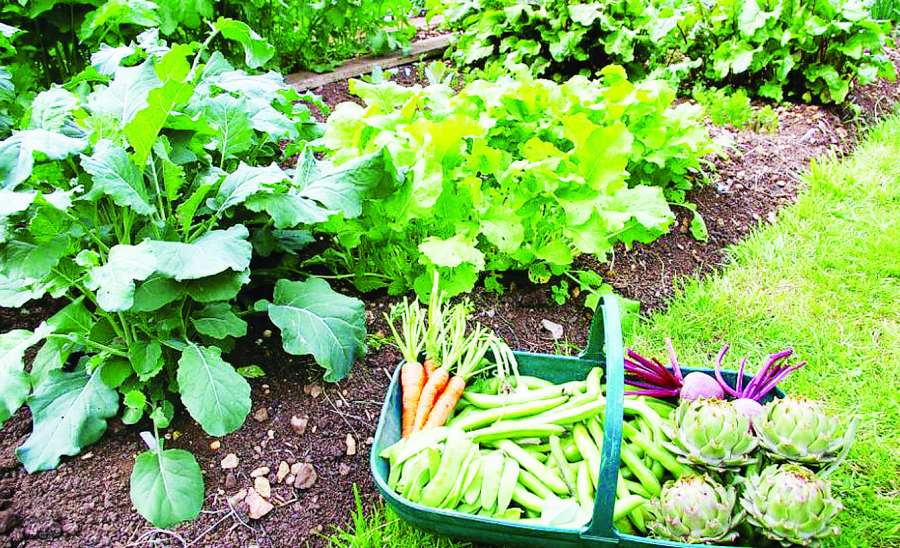 ဆောင်းပါး