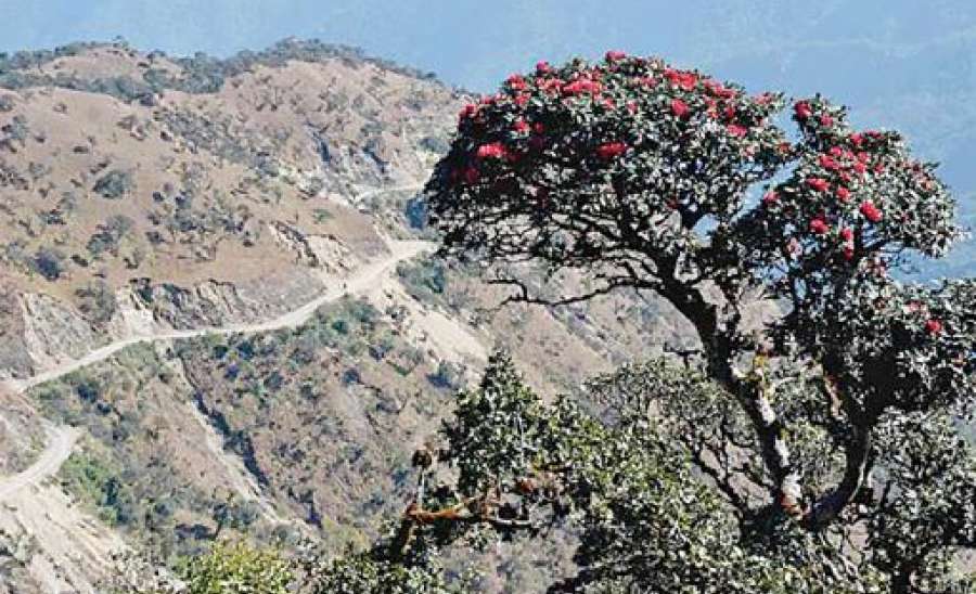 ချင်းတောင်တန်း