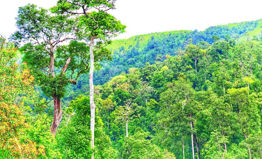 ဆောင်းပါး