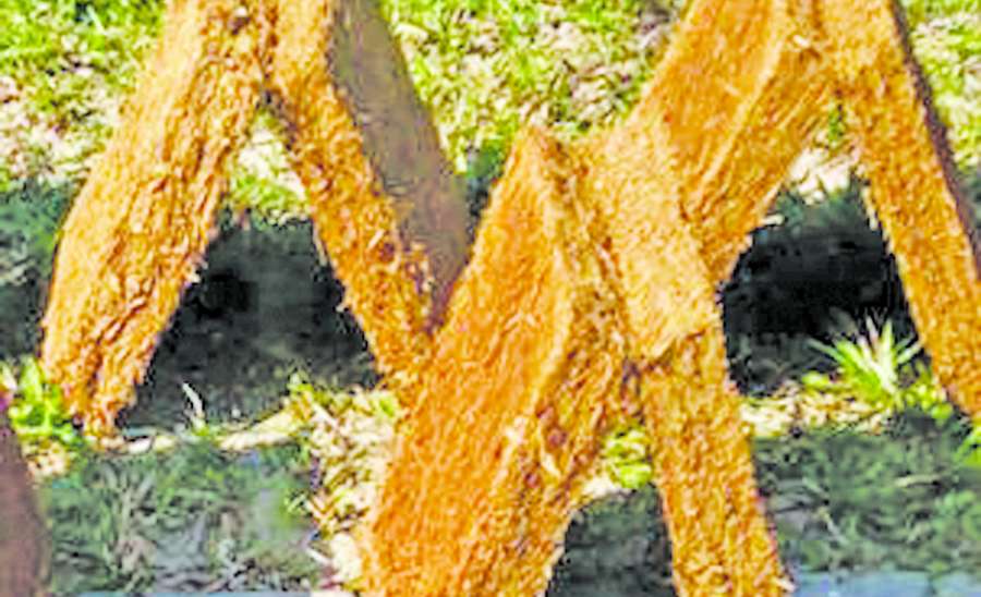 ဆောင်းပါး