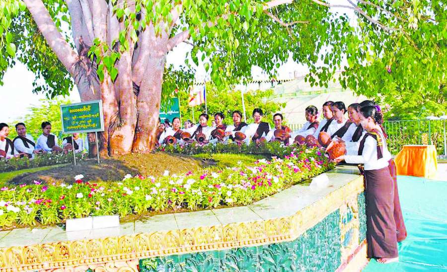 ဆောင်းပါး