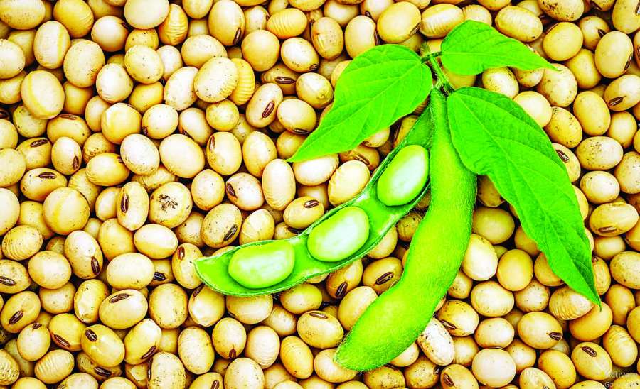 ဆောင်းပါး