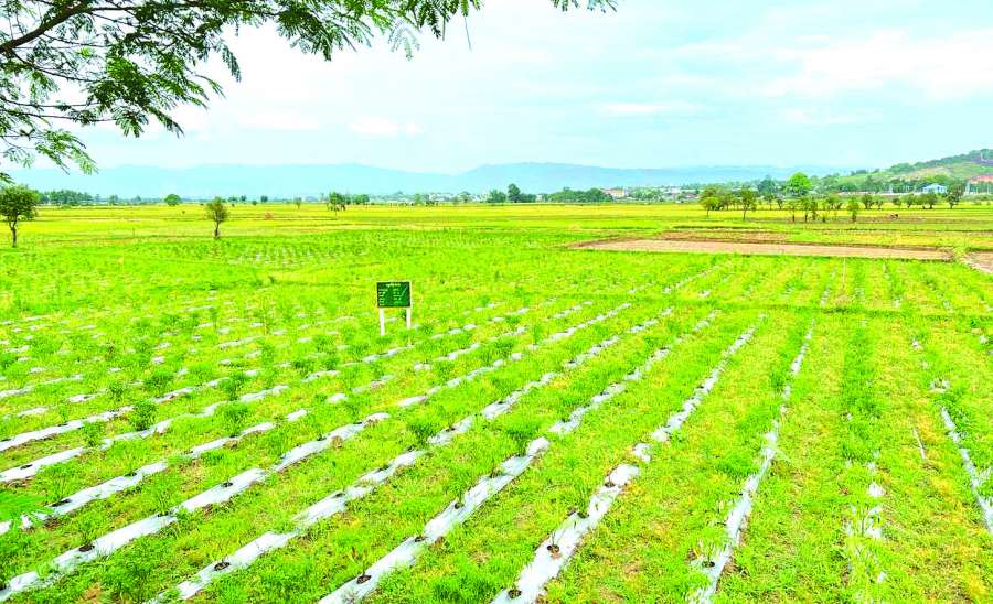 နမ့်ခင်မှသည် ရှမ်းအရှေ့တစ်လွှားဆီသို့ ….