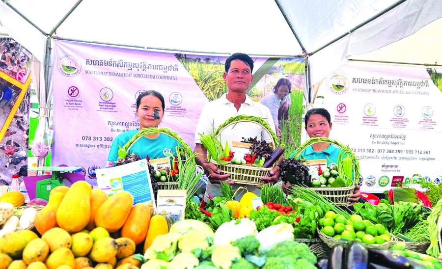 ထိုင်းနိုင်ငံ၏ သမဝါယမစနစ်ကို လေ့လာခြင်း