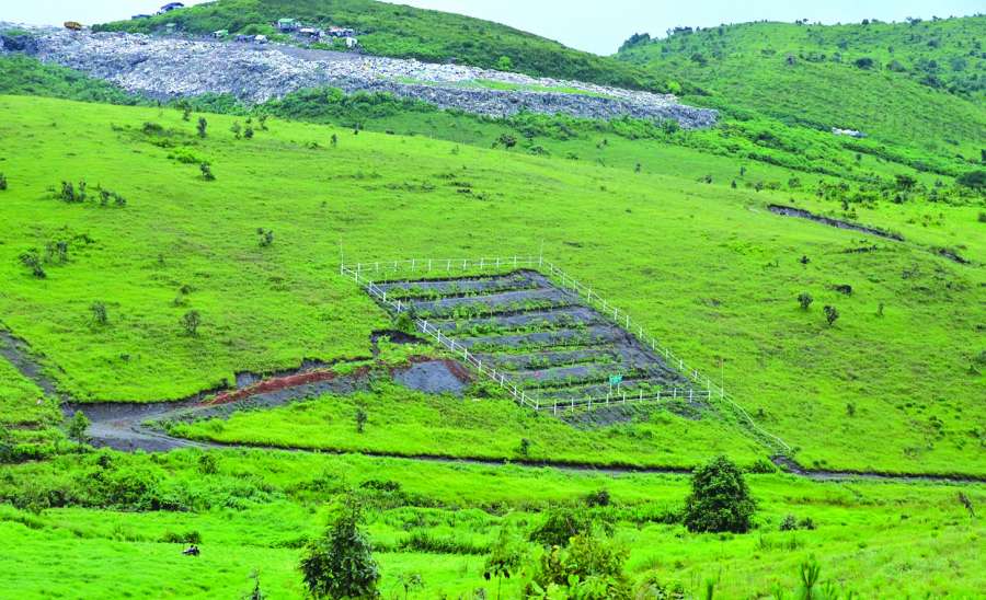 စိုက်ပျိုးဖြစ်ထွန်းအောင်မြင်ဖို့ မြေဆီလွှာထိန်းသိမ်းစို့