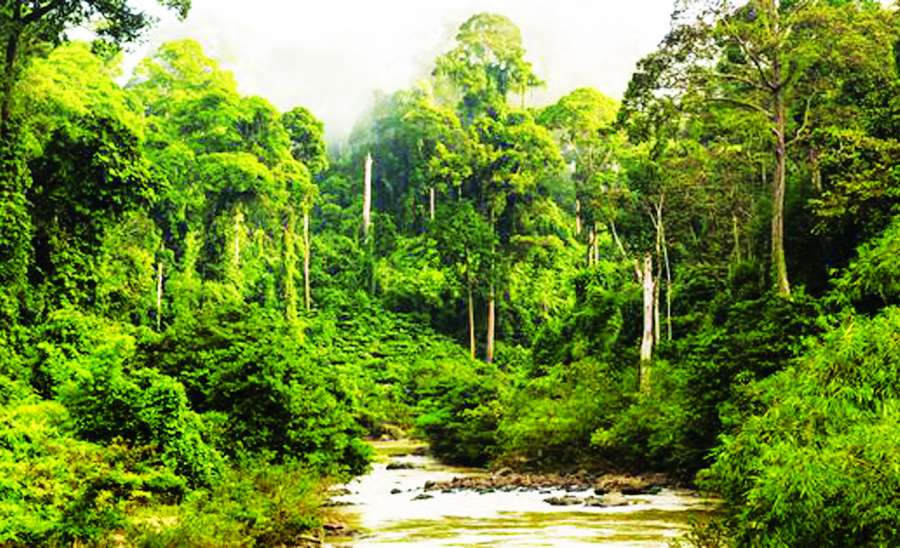 ဆောင်းပါး