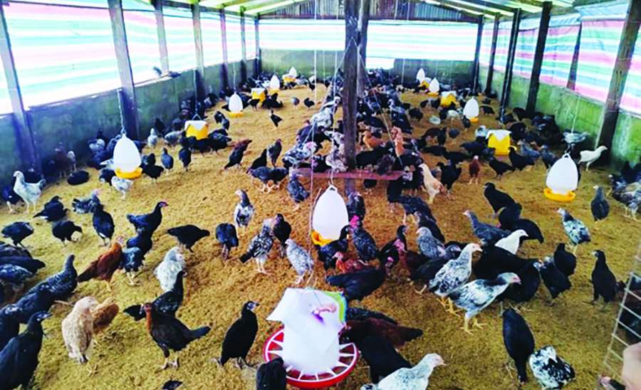 ဆောင်းပါး