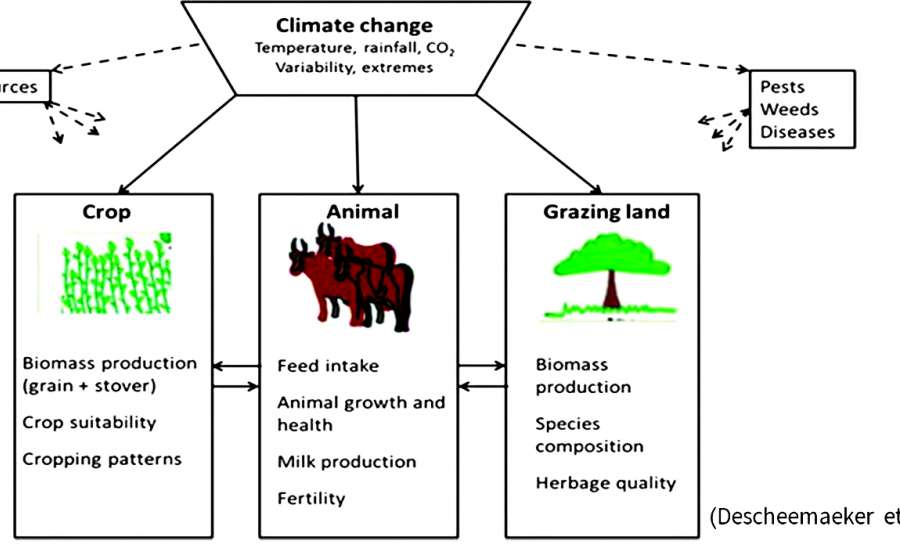 ရာသီဥတုပြောင်းလဲမှုကိုကျော်လွှားရေး စိုက်ပျိုးမွေးမြူရေး ပေါင်းစည်းစနစ်ဖော်ဆောင်ပေး