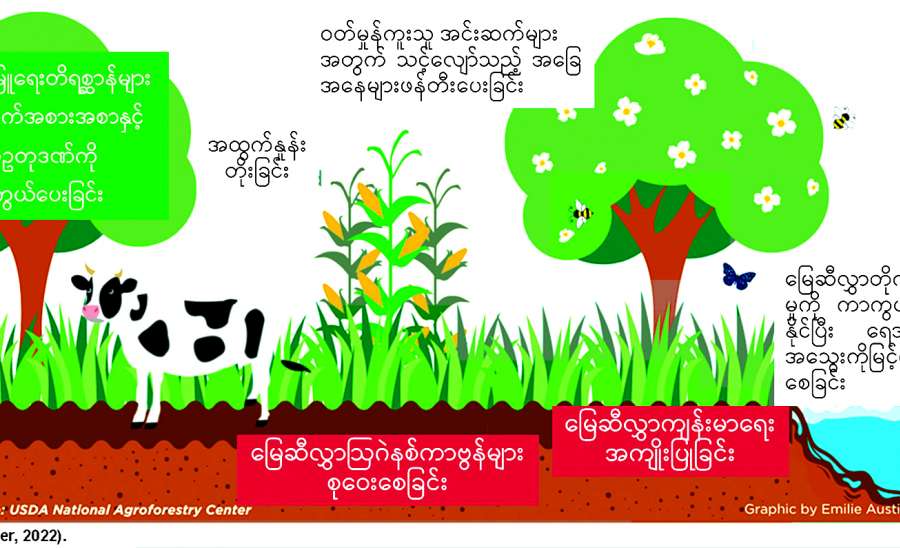 ရာသီဥတုပြောင်းလဲမှုကိုကျော်လွှားရေး စိုက်ပျိုးမွေးမြူရေး ပေါင်းစည်းစနစ်ဖော်ဆောင်ပေး