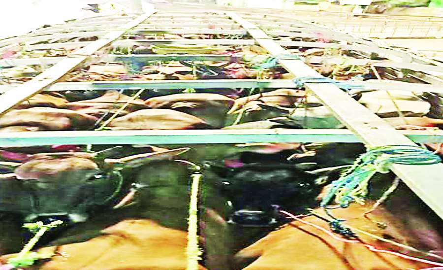 ဆောင်းပါး