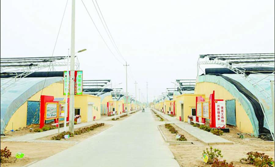 ဆောင်းပါး