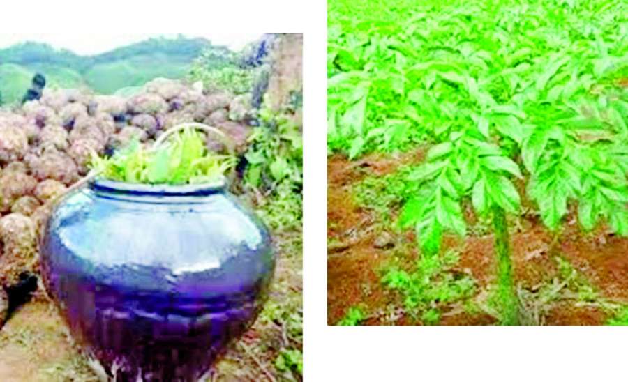 ဆောင်းပါး