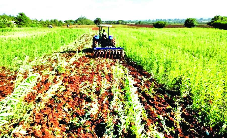 ဆောင်းပါး