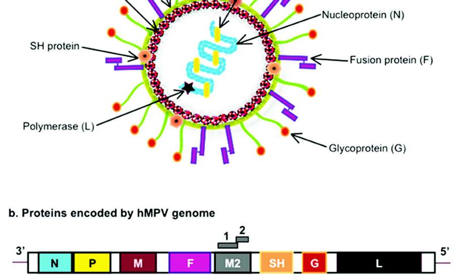 ဆောင်းပါး