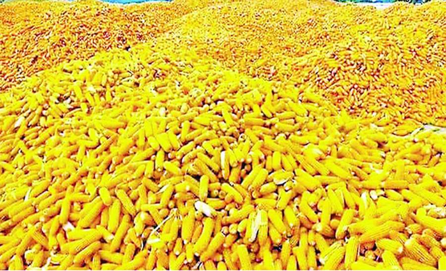 ဆောင်းပါး