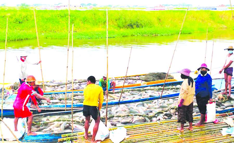 ဆောင်းပါး