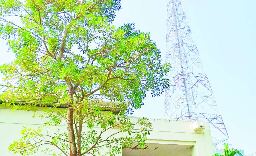 MRTV လွမ်းချင်း