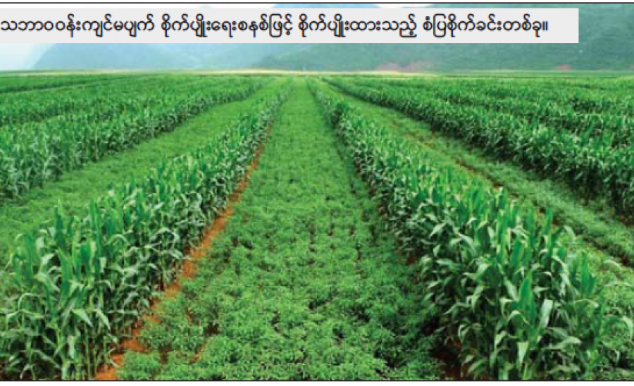 ဆောင်းပါး