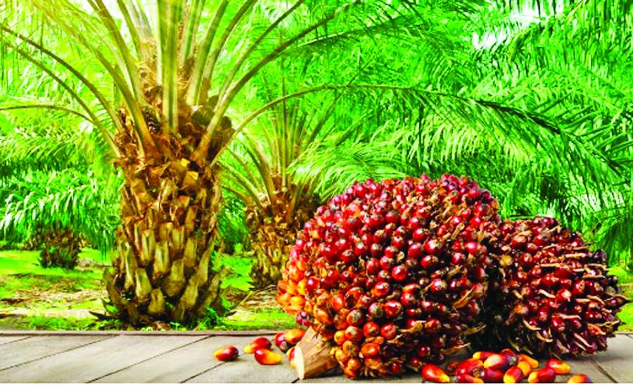 ဆောင်းပါး