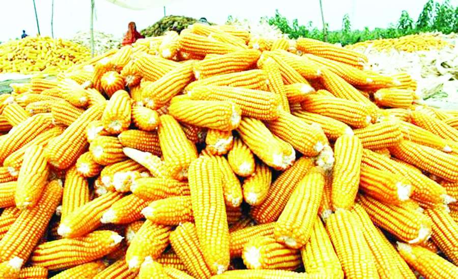 ဆောင်းပါး