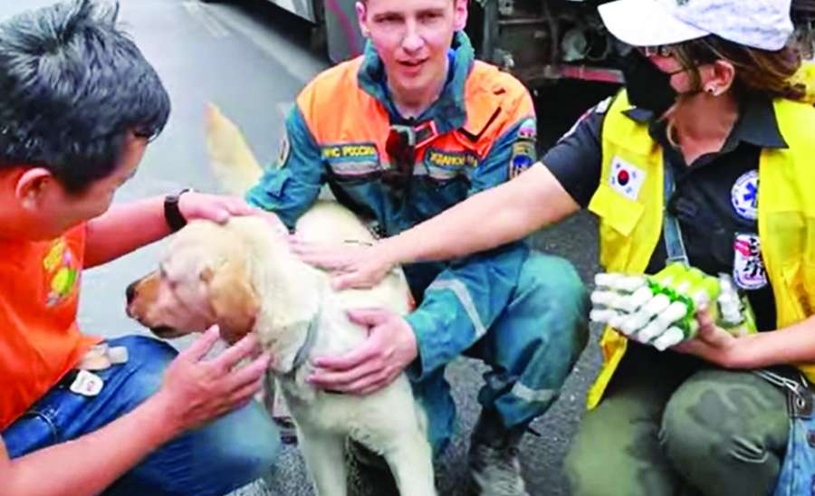 မြန်မာ့စိတ်ရင်း၊ မြန်မာ့ရှုခင်းနှင့် ကြင်နာချစ်ခြင်း သံခင်းတမန်ခင်း