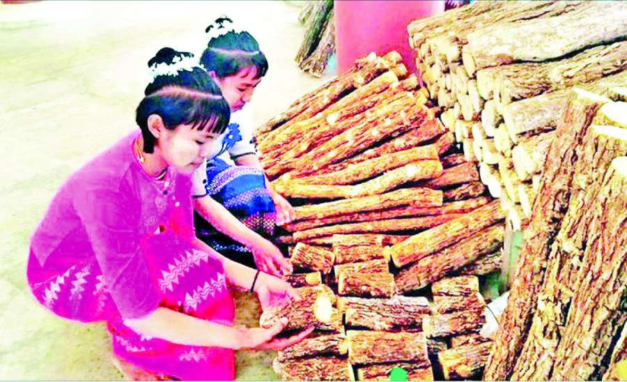 မြန်မာ့သနပ်ခါးကို ကမ္ဘာကသိစေဖို့ ပူးပေါင်းဆောင်ရွက်ကြပါစို့