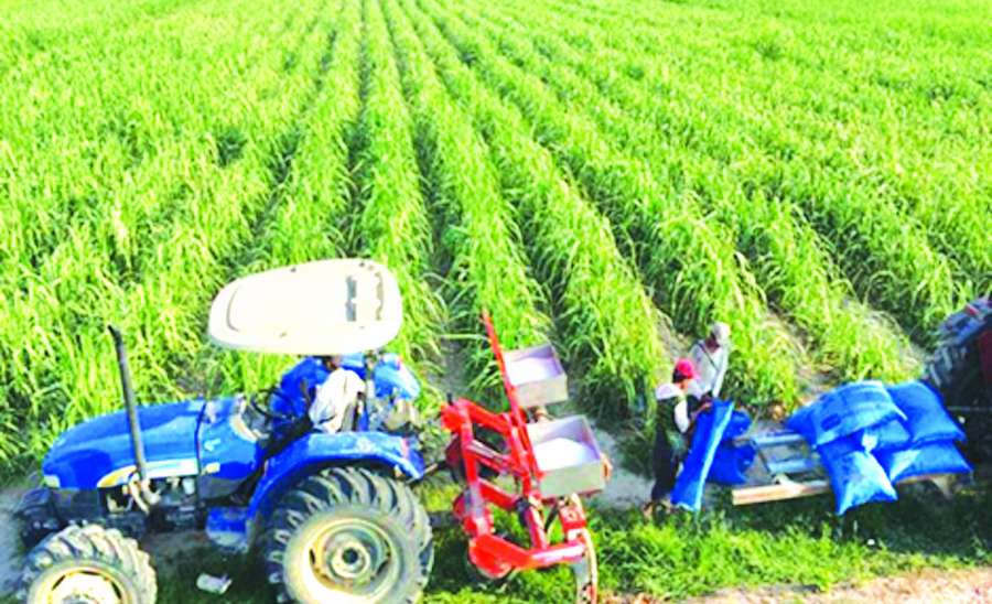 ဆောင်းပါး