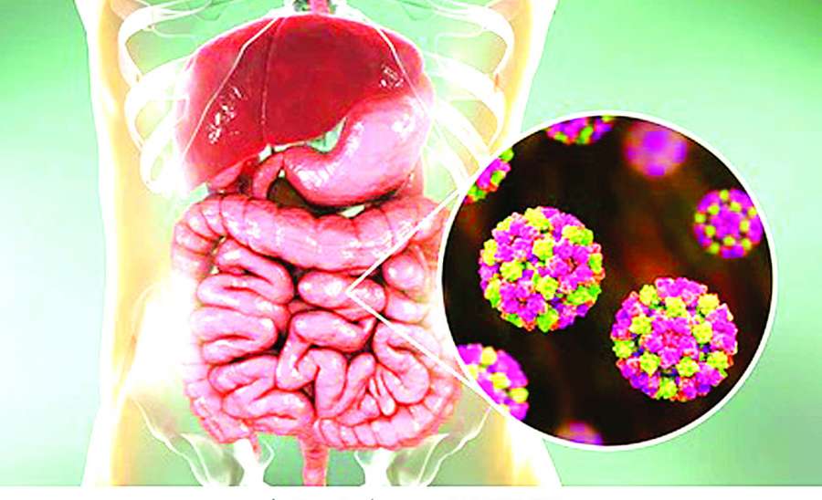 ဆောင်းပါး