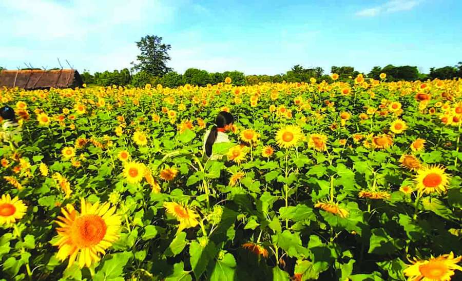 အနာဂတ်စားရေရိက္ခာဖူလုံဖို့ လက်တွဲဆောင်ရွက်ကြပါစို့