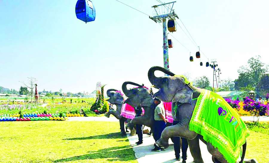 ခရီးသွားစေချင်သလား . . . တွန်းအားနှင့် ဆွဲအား တိုးပွားစေပါ