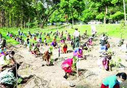 ပတ်ဝန်းကျင်လှပ မျှတရာသီဖြစ်စေဖို့ လူတိုင်းသစ်ပင်စိုက်ကြစို့