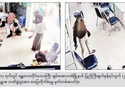 အကြမ်းဖက်မှု