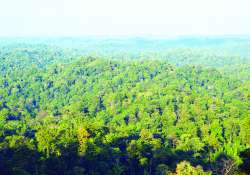 သဘာဝဘေးအန္တရာယ်များ တားဆီးကာကွယ်ရေးနှင့် သဘာဝကိုအခြေခံသော ဖြေရှင်းခြင်းနည်းလမ်းများ (Nature-based Solutions-Nbs) ၏ အခန်းကဏ္ဍ