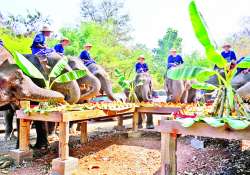 မန်းရွှေစက်တော် အရောက်သွားလို့ ဆင်စခန်းမှာ တစ်ထောက်နားစို့ 