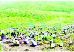 စိုက်ပျိုးပြီးသစ်ပင်ရေရှည်တည်တံ့စေဖို့ ဝိုင်းဝန်းထိန်းသိမ်းစောင့်ရှောက်စို့