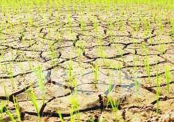 အယ်လ်နီညိုကြောင့် ဖြစ်ပေါ်လာနိုင်တဲ့ သက်ရောက်မှုများအပေါ် ကြိုတင်စီမံပြင်ဆင်ခြင်း