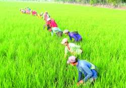 ဆောင်းပါး