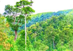 ဆောင်းပါး