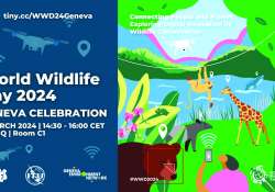 ဆောင်းပါး