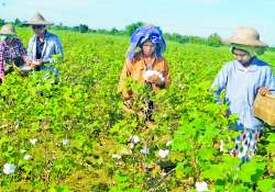 ဆောင်းပါး